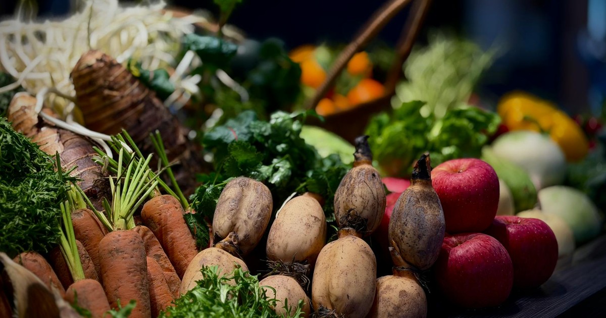 The Power of Plant Compounds: A Guide to Phytonutrients and Their Health Benefits