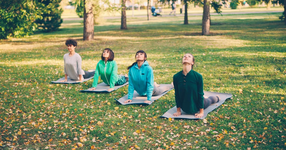 Navigating Your Wellness Journey: Understanding How Data Personalizes Your Experience